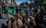افراد از کشتار غیر مجاز دام در ایام‌ تاسوعا و عاشورا اجتناب کنند