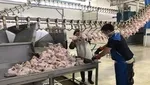 کرونا و مرخصی‌های اجباری بدون حقوق!