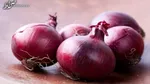 صفر تا ١٠٠ افزایش قیمت پیاز و نظارتی که باید اعمال شود