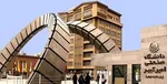 کدام غذاها خود سرطانند؟