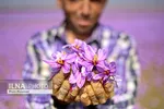 ملک کلنگی ۱۲۰ درصد گران شد