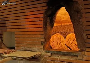 تصاویر / نان بلوط