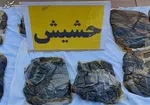 ۹۰ درصد تریاک جهان در ایران کشف می‌شود