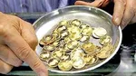 تاریخ تحویل سکه‌های پیش فروش تیر مشخص شد