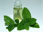 بیماری‌هایی که هندوانه و طالبی دوای آنهاست