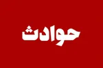 حرف‌های تکان‌دهنده جوان۳۱ساله‌ای که ۶نفر را با قرص برنج کشت
