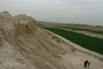 انتقادات صریح الهام پاوه‌نژاد