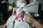 سرلشکر سلامی: تک‌فرزندی پدیده خاموش انقراض نسل است