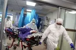شهادت ۲۰۰ تن از جامعه پزشکی در عرصه مبارزه با کرونا