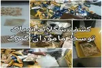 سکوت یک دهه‌ای قانون در برابر مخدر‌های جدید