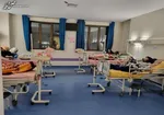 مسمومیت‌ها ناشی از مداخله مستقیم جریان نفاق و معاندین کشور است