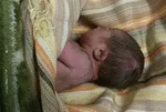 تولد ۲۱۸۷ نوزاد لاکچری در تاریخ طلایی ۹۷/۷/۷