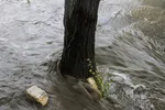 دما تا ۱۵ درجه در شمال کشور کاهش می‌یابد
