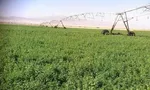 واگذاری ۶۳۰ بنگاه دولتی به بخش خصوصی تا پایان سال