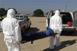 در عید قربان، مراقب قربانی‌ها باشید!