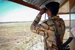 کشته شدن ۱۱ عضو طالبان در درگیری با نظامیان افغانستانی