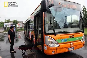 عکس/ عظیم‌الجثه‌ترین اسب تاریخ