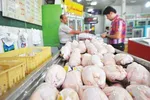 قیمت مرغ گرم در خرده فروشی‌ها ۹۵ هزارتومان