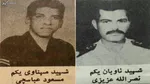 وزارت دفاع: ۳ پرنده مهاجم توسط پدافند منفجر شد