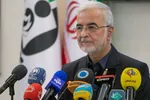 ۱۱ کشتی حامل کالا‌های اساسی به بندرعباس رسید