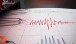 شمار جان‌باختگان زلزله ترکیه به ۵۰ هزار و ۵۰۰ نفر رسید