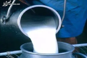 تصاویر/ افتتاح پارک آبی در قلب مسکو
