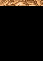 دولت برای اقتصاد برنامه نداشته، ندارد و نخواهد داشت