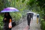 آماده‌باش کامل دستگاه‌ها در پی احتمال سیلاب، گردوخاک و صاعقه