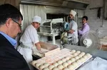 گوجه‌فرنگی ارزان می‌شود