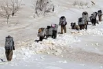 واکنش حمید رسایی به سفر معاون پارلمانی رئیس‌جمهور به آرژانتین و قطب جنوب