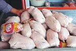 جدول قیمت روز گوشی موبایل در ۱۰ آذر