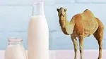 ریزش ۳۱۰۰ واحدی شاخص کل بورس