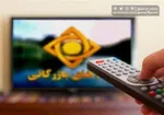 داریوش ارجمند: شیشه چون بشکند، تیزتر می‌شود