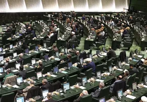 عکس/ گرونی رو تحمل کردیم، آنفلوانزا که چیزی نیست!