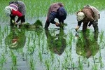 هشدار دادستان زنجان نسبت به افزایش ‏بی‎رویه چاه‏‌های غیرمجاز