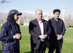 تاج: ورزشگاه‌های کشور مکانیزه می‌شوند