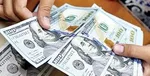 قیمت دلار در صرافی‌های بانک‌ها چند؟