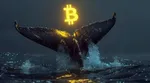 ترس معامله‌گران بیت‌کوین ریخت