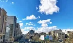 باد و باران هم در تهران حریف آلاینده ازن نشدند