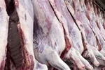 قیمت جدید کالاهای اساسی در بازار اعلام شد | از گوشت گوسفندی و گوساله تا مرغ و تخم مرغ