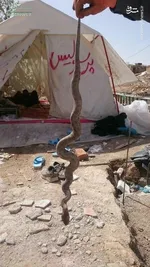 محور اسلام آباد به سر پل ذهاب مسدود شد