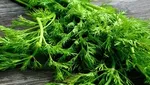 خانم‌ها با این ۸ خوراکی به راحتی لاغر می‌شوند!