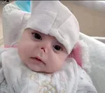 عکس / آمار نجومی مافیای زباله‌گردی