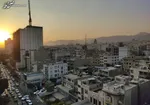 انتقال یک واحد آپارتمان به نام یک سگ در تهران / مشاور املاک بازداشت شد؛ املاک پلمب شد