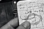 عشق پیری سهم ۸ درصد از ازدواج‌های سال ۱۳۹۸