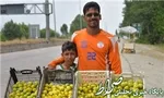 واکنش افشارزاده به اظهارات عابدینی