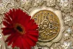 روایت خادم امام هشتم از شفاعت‌های بیماران نزد خداوند توسط امام رضا (ع) / ۲۴ سال زندگی بیمار سرطانی بدون درد و رنج