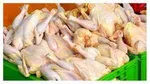 تغییر مسیر واردات به بنادر شمال و مرزهای زمینی؛ برنامه جدید دولت چیست؟