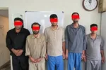 دستگیری یک باند جیب بری در تهران