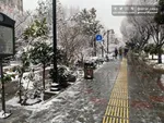 هوای سالم برای تهران در هشتمین روز بهار